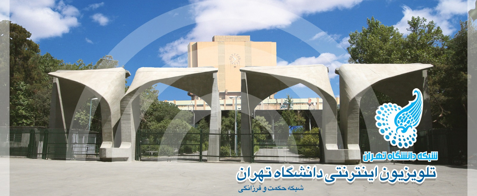 شبکه دانشگاه تهران